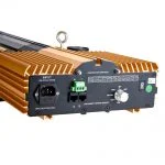 HortiGo DE1000W Golden king-02