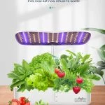 Hydroponics Family herb garden (2)