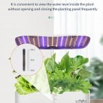 Hydroponics Family herb garden (3)