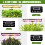 hydroponics family mini garden (2)